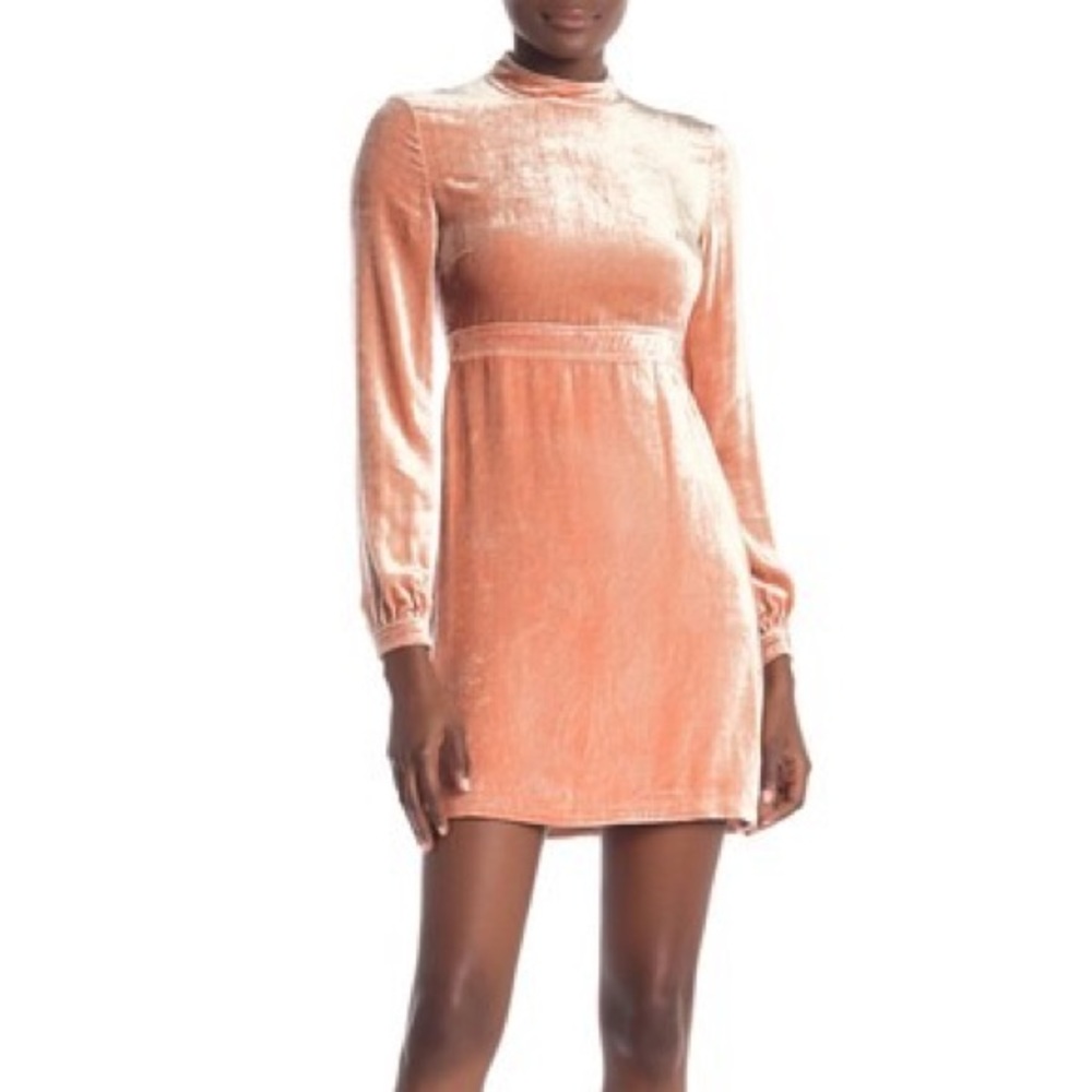 ๐จ A.L.C. Velvet Dress ๐ฅ๐๐ฅฐ - Picture 1 of 5